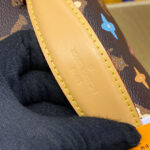 Louis Vuitton Rush Bumbag M24858 Brown